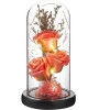 Rose Flower Gift Natural, Light Up Rose in Glass Dome, Eternal Forever Rose Flower, women,wife,mom,Mother’s Day,Valentine’s Day,Anniversary,Birthday Decorations (Pack of 1)