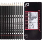 12 Set Professional Drawing Art Sketch Graphite Pencils With Metal Case 2H, H, F, HB, B, 2B, 3B, 4B, 5B, 6B, 7B, 8B (Pack of 1, Black)