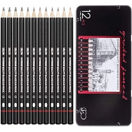 12 Set Professional Drawing Art Sketch Graphite Pencils With Metal Case 2H, H, F, HB, B, 2B, 3B, 4B, 5B, 6B, 7B, 8B (Pack of 1, Black)