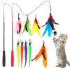 Cat Toys Set of 11 Cat Teaser Wand Toy with 2 Retractable Teaser Wand, 5 Feather Teaser Toy, 4 Worm Teaser Cat Toy Interactive Cat Toy Wand Kitten Toys for Indoor Cats to Play Chase Exercise