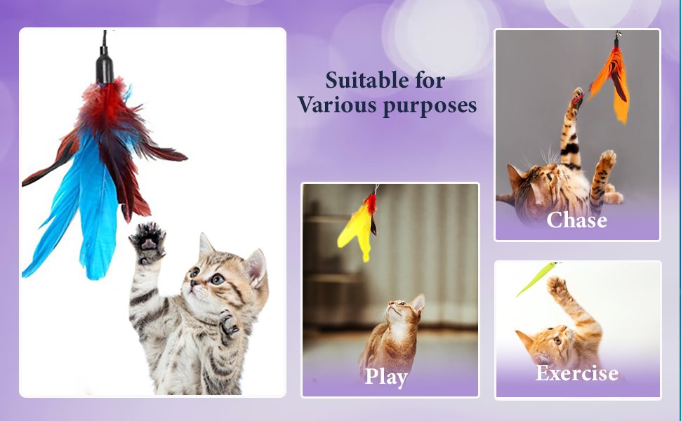 Qpets-Cat-Toys-Set-of-11-Cat-Teaser-Wand-Toy-with-2-Retractable-Teaser-Wand-5-Fe