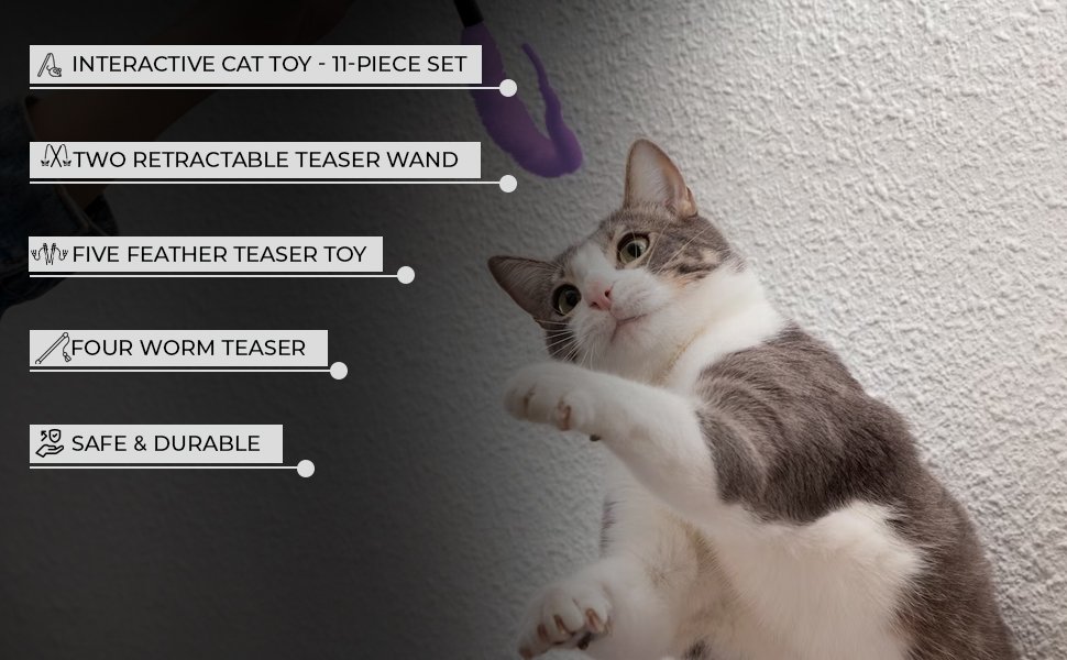 Qpets-Cat-Toys-Set-of-11-Cat-Teaser-Wand-Toy-with-2-Retractable-Teaser-Wand-5-Fe