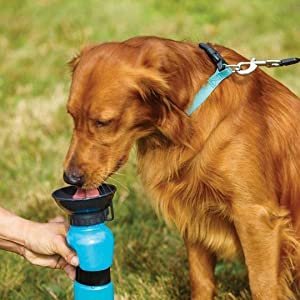 SILENCIO-Dog-Water-Bowl-Bottle-Sipper-Portable-Aqua-Dog-Travel-Water-Bottle-Bowl